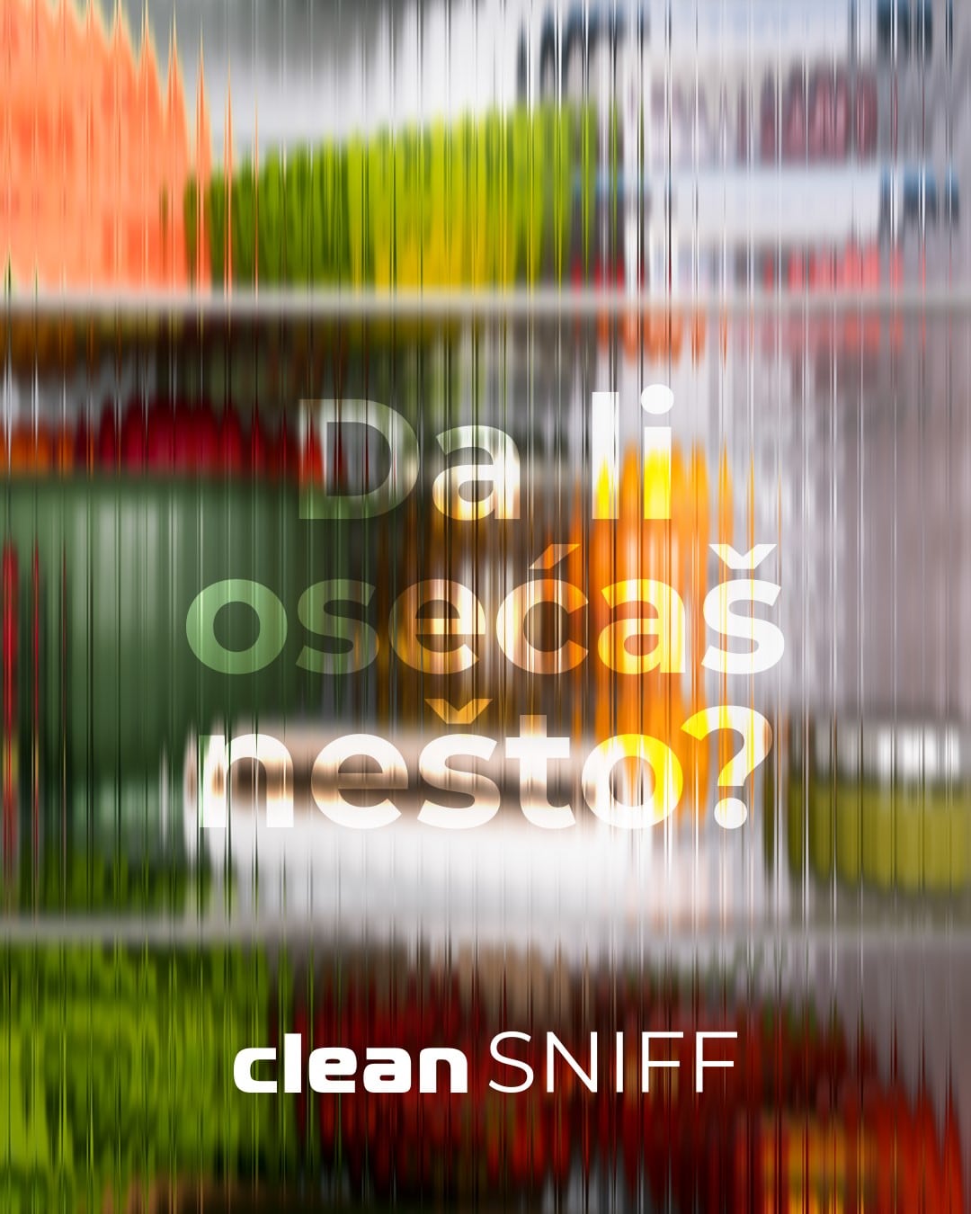 clean-sniff-prt-1